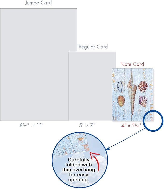 The Best Card Company - 10 Blank Note Cards with Envelopes (4 x 5.12 Inch) - Bulk All Occasion Cards Boxed - Seashell Driftwood AM6118OCB-B1x10