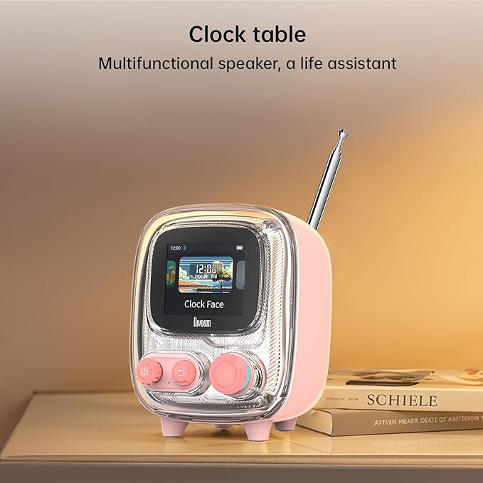 Divoom Tiivoo-2 Retro Bluetooth Speaker with FM Radio,Pixel Art Portable Mini Cute Wireless Small Speaker,Vintage Decor Suitable for Party Office Desk Home Bedroom Kitchen,Gifts for Women Men,Pink