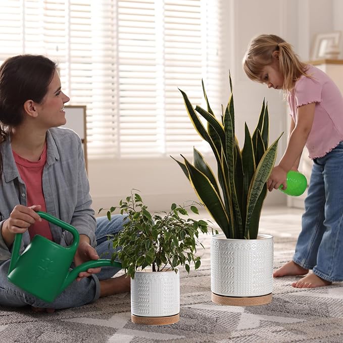 Indoor-Outdoor Ceramic Plant Pots: 6 Inch Flower Pots with Drainage Hole & Saucer - Decorative Ceramic Pots for Plants Herbs Succulents - Home Garden Patio Lawn Use (White)