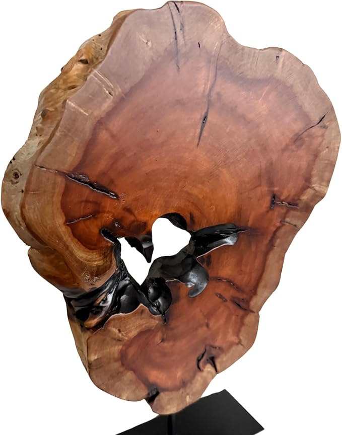 THY COLLECTIBLES Irregular Handcarved Root Wood Sculpture, Wood Tabletop Abstract Standing Sculpture for Home Decor Natural Edge Tabletop Statue Tree Stump - Large (W10.25in x H14in)