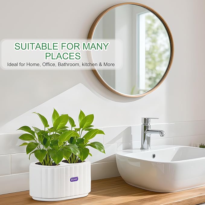 HOSUN 4 Inch Dual Compartment Self Watering Planter - Indoor Plastic Plant Pot with Drainage Holes, Reservoir & Wicking Rope, Low Maintenance Modern Flower Pot for Succulents/Aloe Vera (White)