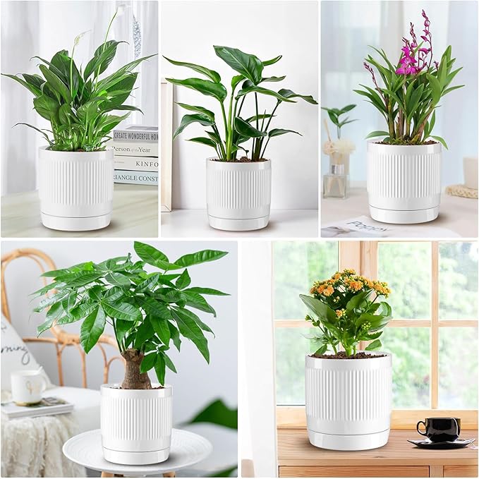 Vanavazon Ceramic Planter Pots for Indoor Plants with Drainage Hole and Saucer,6 Inch Cylinder Plant Pots,Glazed Finish Interior and Exterior,Set of 2 (White)