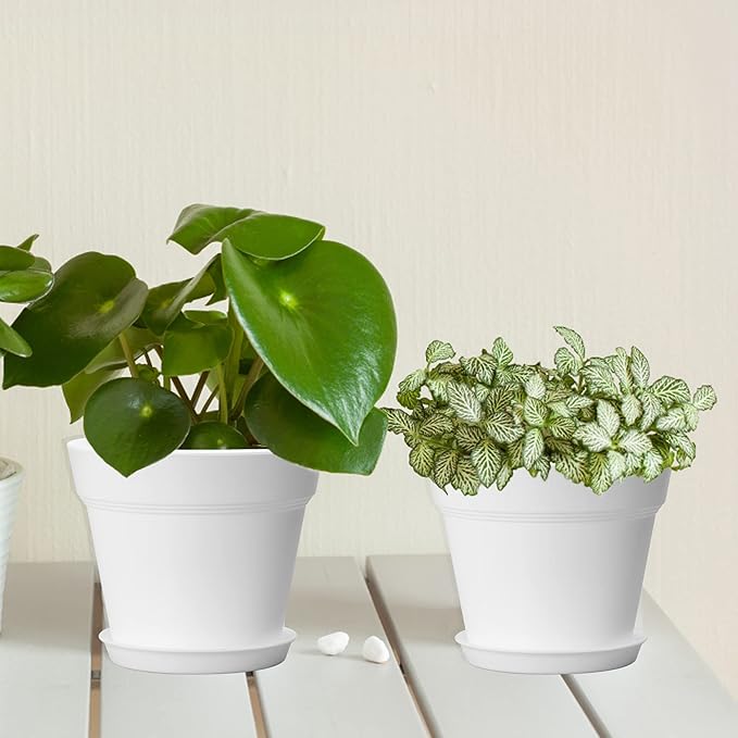 10 Pack Plastic Plant Pots with Drainage Holes and Tray, 6 inch Thickened Indoor Planters Seedlings Nursery Pots for Flowers, African Violet, Succulent and All House Plants, White