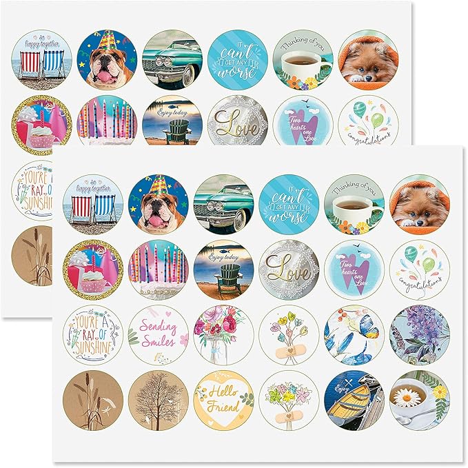 Current Modern Messages All Occasion Value Pack With Seals-40 Cards & Envelopes, Celebration, Get Well, Sympathy, Birthday, Holiday, & Thinking of You Variety, Large 5" x 7" Assortment, 20 Design Set