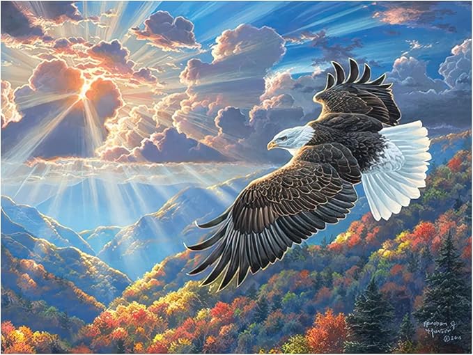 Leanin' Tree, Nature's Wonders, Greeting Cards Assortment Box, Assorted Cards with Envelopes, All Occasion, 20 Cards, 22 Envelopes