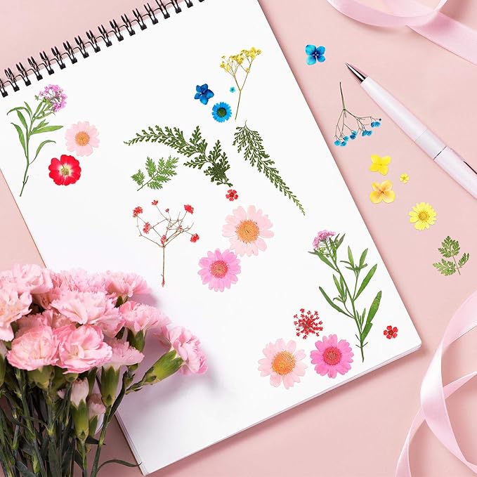 Nuanchu Dried Pressed Flowers for Crafts Resin Christmas Dried Flowers Bulk Real Natural Pressed Wildflowers with Tweezer for Resin Mold Scrapbooking Nail Soap Candle Cake Card Making DIY Supplies