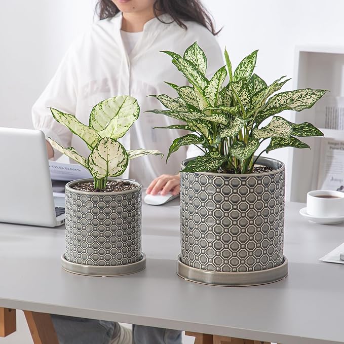 6 Inch Plant Pot: Ceramic Planter with Drainage Hole & Saucer Indoor Outdoor Plants - Cylinder Round Flower Pot for Home Office - Modern Decorative - Small Grey