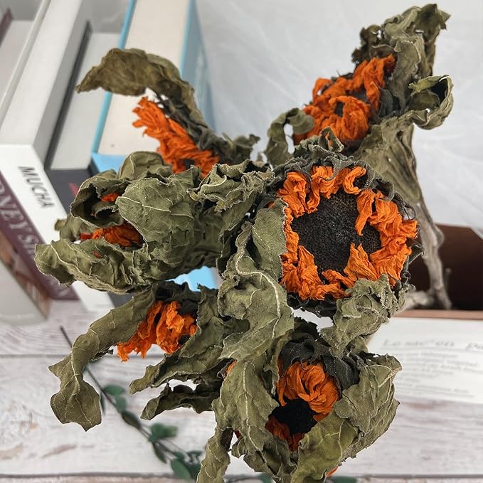 L'BREVOGA Dried Sunflowers with Stem, 3 pcs Natural Dried Sunflower for Floral Arrangements Home Wedding Party Decoration (15 Inches)