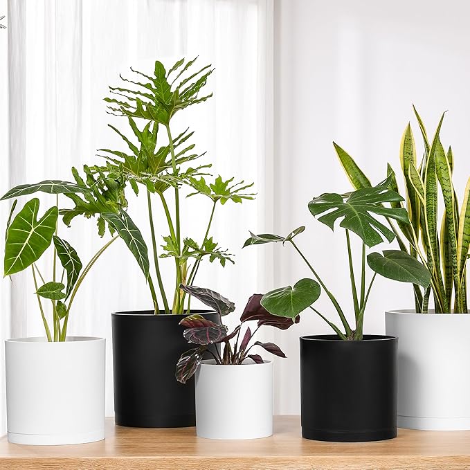 FaithLand 12-Inch Large Modern Cylinder Planter, Thick-Walled Plastic Plant Pot with Drainage Holes and Detachable Saucer, Matte Black, Ideal for Indoor & Outdoor Plants Flowers