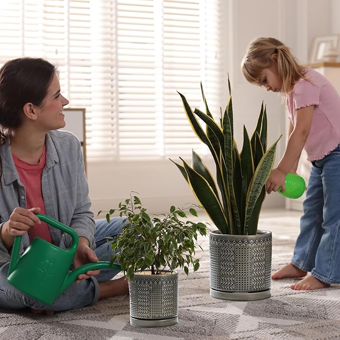 Indoor-Outdoor Ceramic Plant Pots: 8 Inch Flower Pots with Drainage Hole & Saucer - Decorative Ceramic Pots for Plants Herbs Succulents - Home Garden Patio Lawn Use (Grey)