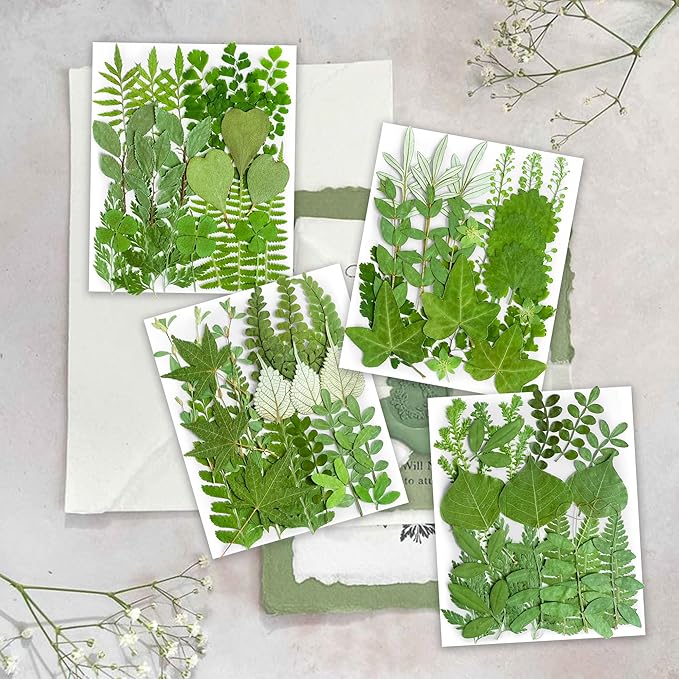 84Pcs Real Natural Dried Pressed Flowers & Green Leaves for DIY Crafts, Resin, Scrapbooking, Frame Decor + 4 Packs + Tweezers