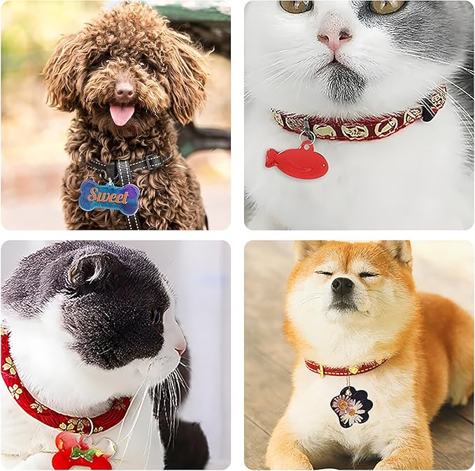 Pet Tag Resin Molds, SAGOOITS Silicone Mold for Resin Casting Pet Collar Tags, Silicone Mold Set with 10 Keychains, DIY Keychain Pendant Charm Crafts-Make Dog Cat Name Tags