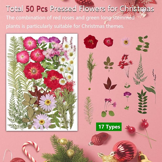 A5 Large Bulk Christmas Dried Pressed Flowers for Christmas Decor, Real Dry Natural Flower Leaf Daisy for Resin Mold, Cake Decor, Phone Cases ( Romantic Rose)
