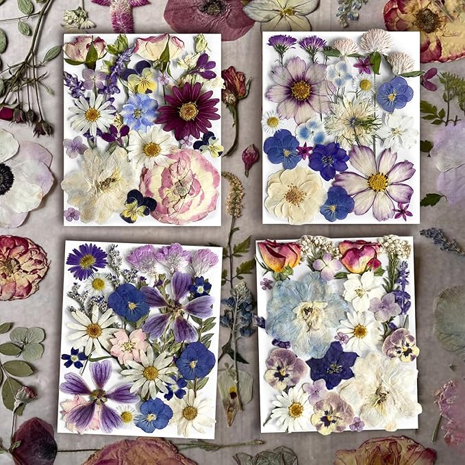 Purple Pressed Flowers 88Pcs Real Natural Dried for Resin Molds, DIY Crafts, Jewelry + Free 100Pcs Butterfly Stickers + Tweezers