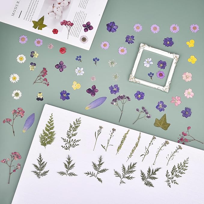 DALARAN 100Pcs Purple Dried Pressed Flowers for Resin Molds Real Dried Flowers Leaves Kit for Art Crafts Resin Jewelry Making Scrapbook Supplies Card Making Soap Candle DIY