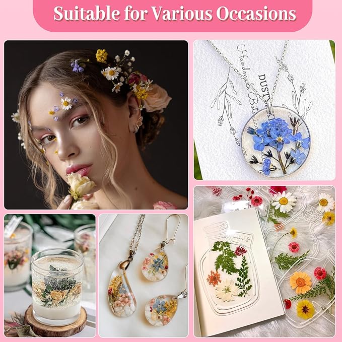 Natural Pressed Dried Flowers | Perfect for Resin Crafting, Art Projects, Scrapbooking, Nail Art, and Home Decor | Premium Preserved Petals & Leaves