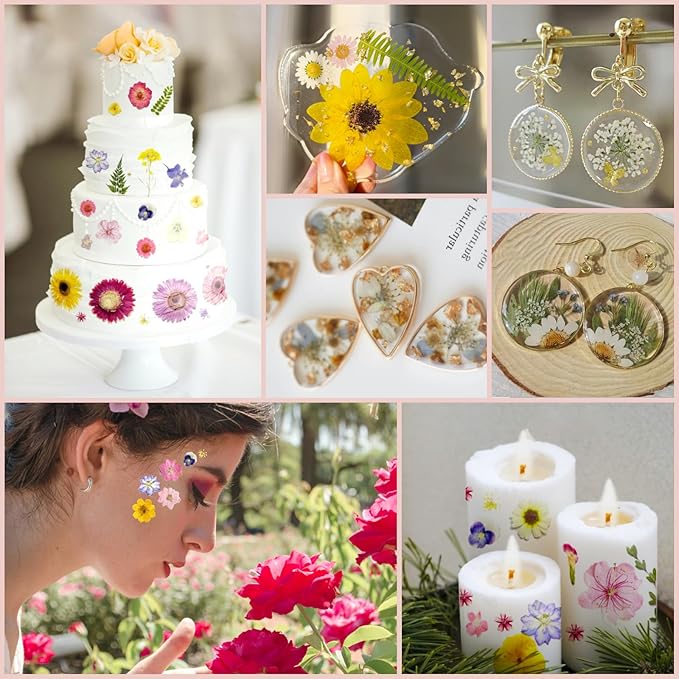140Pcs Pressed Flowers for Resin Real Bulk Dried Flowers Dry Flowers Leaves for Resin Mold Scrapbooking DIY Art Crafts, Epoxy Resin Jewelry Molds, Candle, Soap Making (Colorful)
