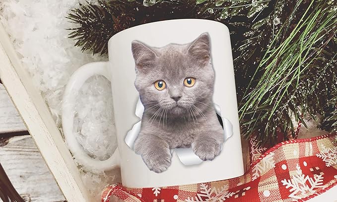 Winston & Bear British Shorthair Cat Mug - Grey Kitten Ceramic Coffee Mug - Perfect British Shorthair Cat Gifts - Funny British Shorthair Kitty Cat Coffee Mug for Cat Lovers (15oz)