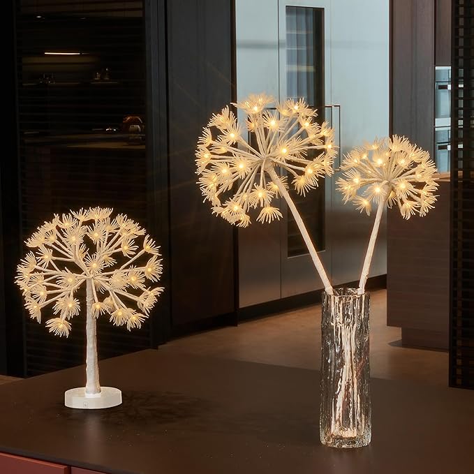 Hairui Lighted Willow Branches with Timer 70 Warm White LED Lights, Artificial Dandelion Branches with Lights 27IN Battery Operated and USB Plug in for Room Fireplace Table Christmas Decor