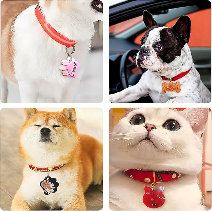 SAGOOITS Pet Tag Resin Mold Silicone,with Letter Resin Stickers and 10Pcs Keychains,Dog Tag Molds for Resin, Bone Cat Shaped Keychain Silicone Resin Molds DIY Crafts Making Tag Charm Pendant