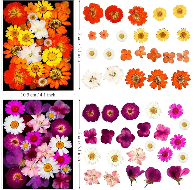 112Pcs Dried Pressed Flowers and Butterfly for Resin Molds, Assorted Real Natural Flowers Leaves Stickers for DIY Art Crafts, Jewelry, Candle, Soap Crafts Making