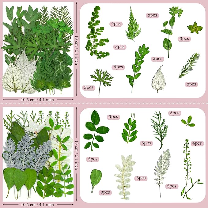100 Pcs Dried Pressed Flowers Leaves for Resin Molds, Real Natural Bulk Dry Wildflowers Perfect for Epoxy, DIY Crafts, Soap Candles Jewelry Making, and Home Decor