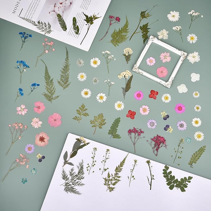 DALARAN Dried Flowers for Resin 100pcs Natural Flowers and Leaves Compressed Vacuum Packed DIY Pressed Flowers for Epoxy Jewelry Candles Soap Nail Production