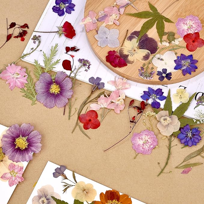 DALARAN 75Pcs Purple Dried Flowers for Resin Molds Real Pressed Flowers Dry Leaves Kit for Art Crafts Resin Jewelry Making Scrapbook Supplies Card Making Soap Candle DIY