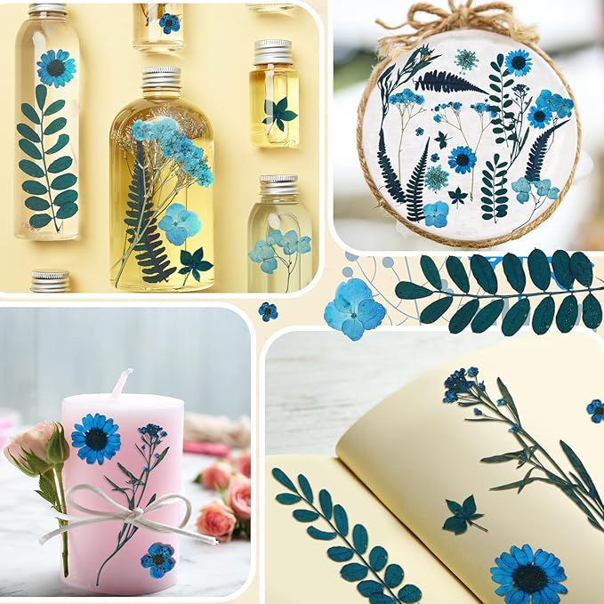 Fabbay 200 Pcs Dried Pressed Flowers Real Dry Natural Flower Leaf Dried Flowers for Resin Pressed Flower Kit for Plant Herbarium Scrapbooking DIY Candle Crafts (Blue)