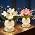 Flower Table Lamp, 3 Colors Touch Dimming Magnolia Glass Night Light, Rechargeable Artificial Flower Light, LED Flower with Vase Lamp Romantic Decor for Date Party Home (Pink - Magnolia) - Image 7