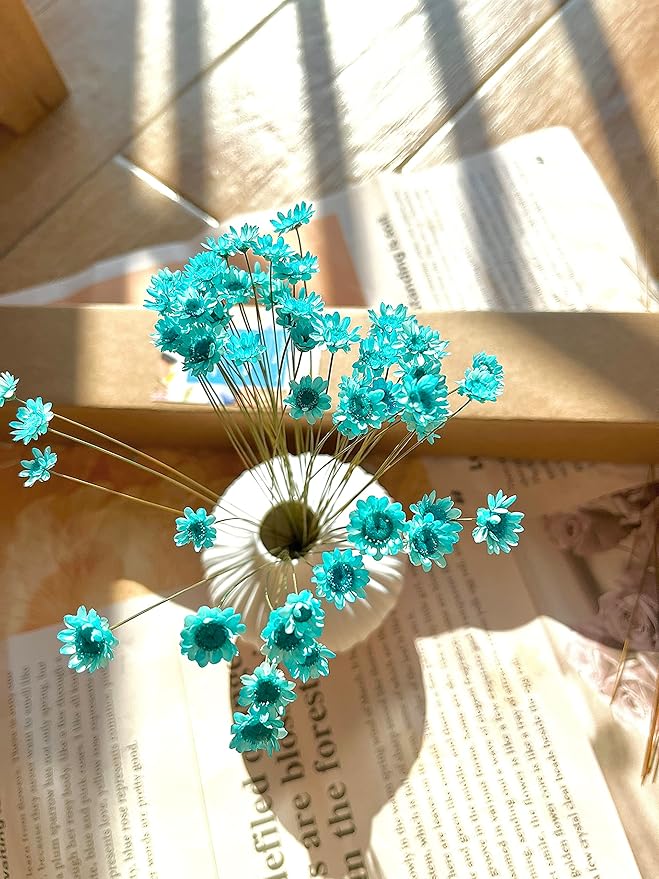 Natural - Dried - Flowers Brazilian Small Star Daisy Dried Decorative Mini Chamomile Bouquet for Wedding Floral Arrangements Home Decorations Valentine's Day Gifts (200 Stems) (Blue)