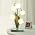 Green Flower Lamp for Home,5 Lily of The Valley Vintage Table Lamps - Image 7