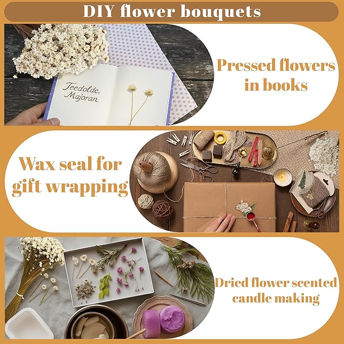 300 PCS Natural Dry Flowers Brazilian Small Star Daisy,13'' White Mini Daisy Chamomile, Dried Daisy Flowers Bouquet for Wedding, Home Decorations, Christmas, Floral Arrangements