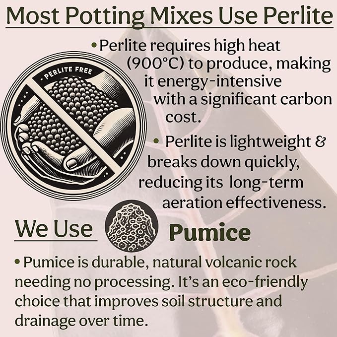 Craft Organic Houseplant Potting Mix, Elite House Plant Soil, Chunky, Well Draining Potting Soil for All Indoor Plants, Tropical Plants & Flowers, Sustainable & Peat Free, Less Prone to Gnats, 12QT