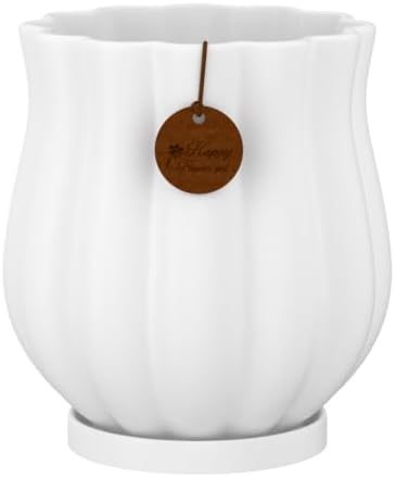 4.7" Matte White Ceramic Plant Pot with Saucer by XiHuaer