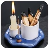 Mushroom Ceramic Incense Holder Set,4-in-1 Design for Sage, Palo Santo, Incense Sticks Candles,Blue Ceramic Ash Catcher Tray for Mess-Free Meditation, Yoga and Home Decor by QSKISS