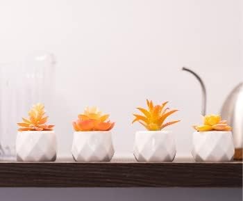 VIVERIE Mini Orange Artificial Succulent in Pots (White Ceramic, 4 Pot Set) Fake Plants for Indoors, Office Home Halloween/Christmas Decor Gifts-Faux Plant Gifts for Women - Image 4