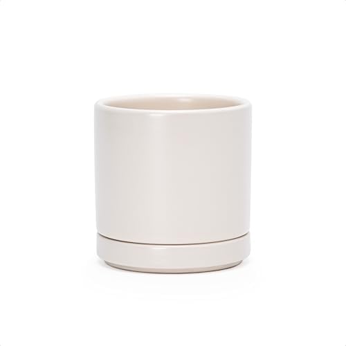 D'vine Dev 3.5 Inch Ceramic Planter Pot, Oatmeal, 94-O-A-8 by DvineDevPlanterPotsandStand