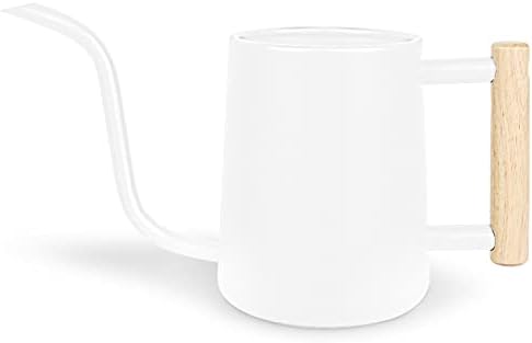 Watering Can Indoor Plants, 35 oz/1000 ml Metal Stainless Steel Watering Can Pot with Long Spout for Indoor House Plants Bonsai Outdoor Garden Flower Decorative (White) by Unknown
