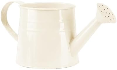 Watering Can Outdoor, 0.25 Gallon Metal Small Capacity Watering Can Indoor Plants with Sprinkler Head,Decorative Lightweight Durable Watering Cans for Garden Lawn Bonsai Greenhouse (White) by Unknown