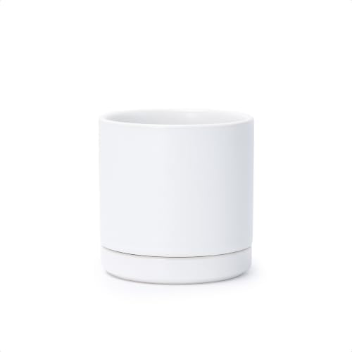 D'vine Dev 3.5 Inch Ceramic Planter Pot, White, 94-O-A-1 by DvineDevPlanterPotsandStand