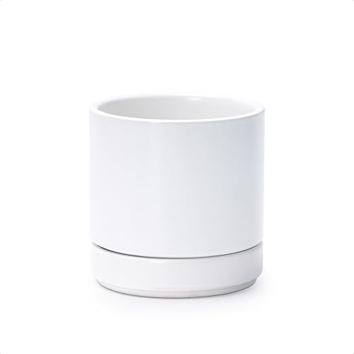 D'vine Dev 4.7 Inch Ceramic Planter Pot, White, 94-O-B-1 by DvineDevPlanterPotsandStand