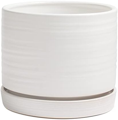 HERDUK 8 Inch Pots for Plants, Ceramic Planter Pot with Drainage Hole & Saucer, Indoor/Outdoor Cylinder Round Planter Pot, Matte White by Herduk