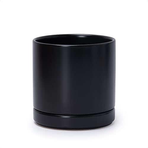 D'vine Dev 6.5 Inch Ceramic Planter Pot, Black, 94-O-C-2 by DvineDevPlanterPotsandStand