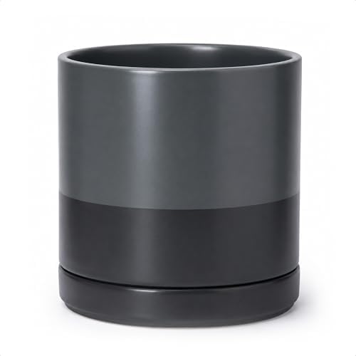 D'vine Dev 10 Inch Ceramic Planter Pot, Slate, 94-O-E-5 by DvineDevPlanterPotsandStand