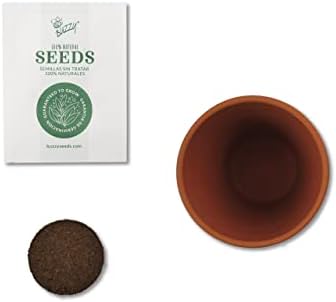 BUZZY Seeds Daydream Grow Kit 6-Pack, Terracotta Pots, Assorted Flowers - Image 4