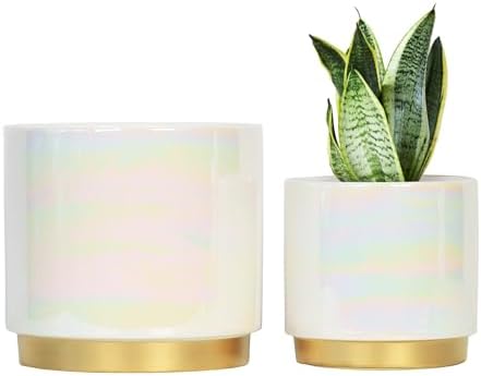 Gepege White Indoor Plant Pots for Plants, Ceramic Planter with Drainage Hole, 7.6 Inch +6 Inch 2pcs Succulent Orchid Flower Pot - Rainbow Pearl Glaze by Gepege