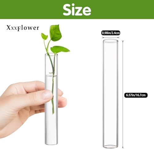 XXXFLOWER Glass Propagation Stations Accessories 4 Tube Vases - Image 2