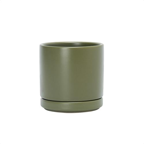 D'vine Dev 3.5 Inch Ceramic Planter Pot, Olive, 94-O-A-J by DvineDevPlanterPotsandStand
