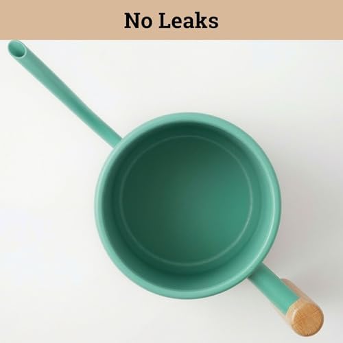 Metal Small Indoor Watering Can with Long Spout & Real Wood Handle, 35oz - Image 5